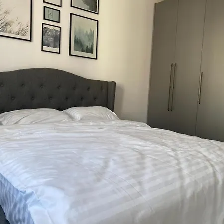 Apartman Apartament Regim Hotelier Coresi Nobi 2 *